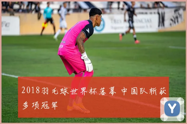2018羽毛球世界杯落幕 中国队斩获多项冠军