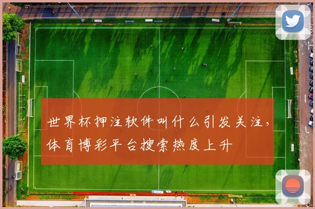 世界杯押注软件叫什么引发关注，体育博彩平台搜索热度上升