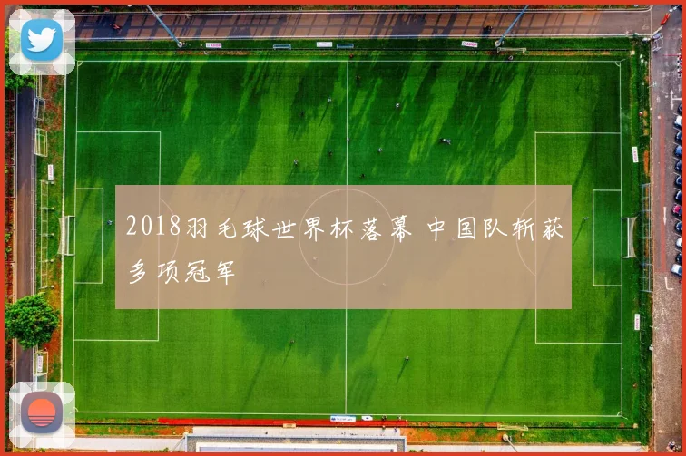 2018羽毛球世界杯落幕 中国队斩获多项冠军